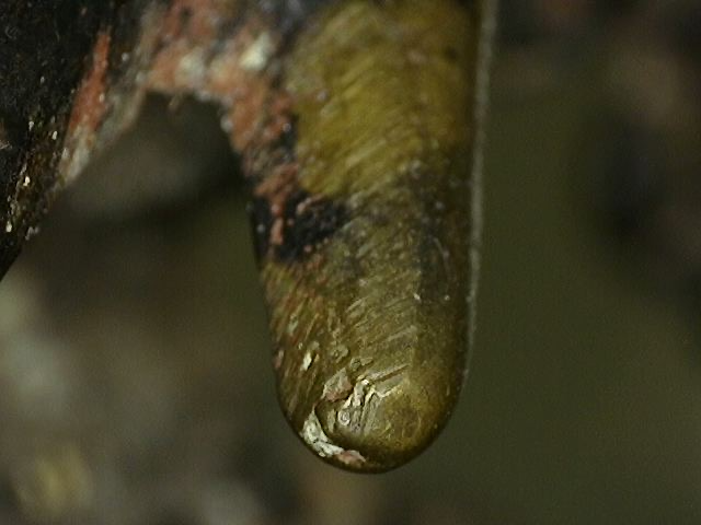 Mikroskopische Analyse der gelaagde patina structuur von Lot 163 (Ganesha), 18. Jahrhundert, detaillierte Schichtung von Cuprit, dunkler Oxidation und mineralischen Verkrustungen über Resten von Feuervergoldung, 1stbuddha Expertise.