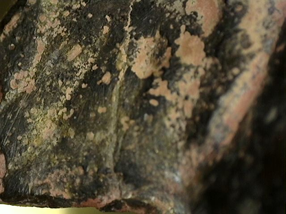Mikroskopische Detailaufnahme der Bronze-Patina von Lot 163 (Ganesha), 18. Jahrhundert, deutliche Schichten von rotem Cuprit, dunkler Oxidation und mineralischen Ablagerungen über Resten von Feuervergoldung, 1stbuddha Expertise.